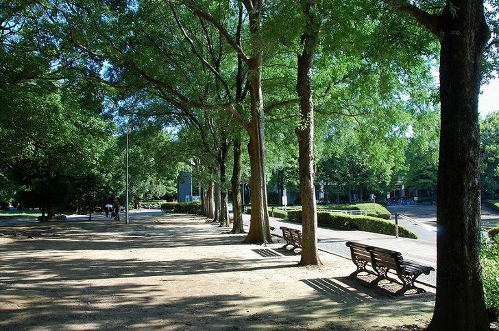 【さいたま市浦和区針ヶ谷のマンションの公園】