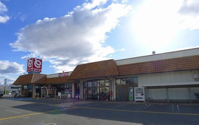 スーパー　スーパーとりせん（スーパー）まで450m