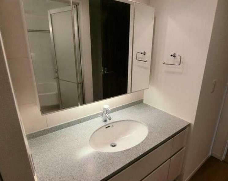 洗面設備　※別部屋の参考写真です。