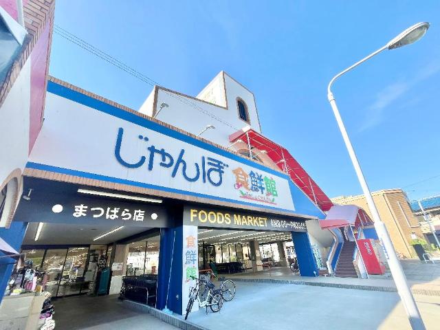 その他　ワッツウィズ松原じゃんぼ店（その他）まで247m