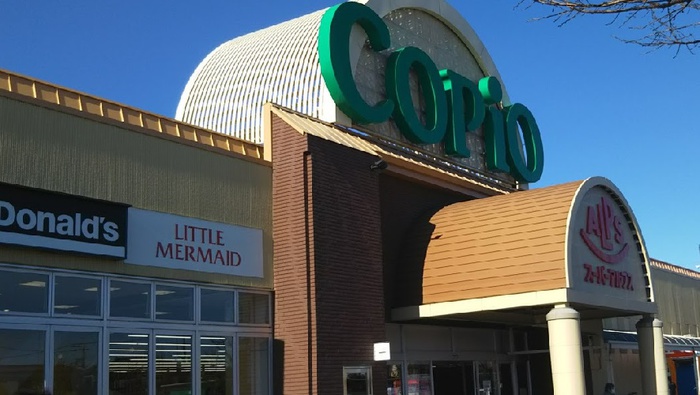 スーパー　コピオ城山（スーパー）まで850m