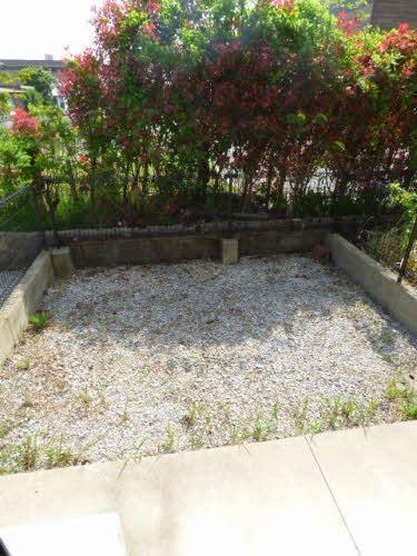 バルコニー　広めの専用庭です。