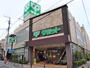 スーパー　サミットストア荏原４丁目店（スーパー）まで300m