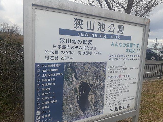 公園　狭山池公園（公園）まで1300m