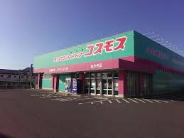 ドラックストア　ドラッグストアコスモス 国分寺店（ドラッグストア）まで843m