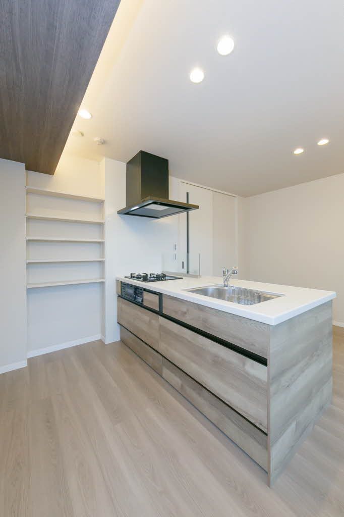 キッチン　システムキッチン　料理をしながら、洗い物をしながら、会話が…