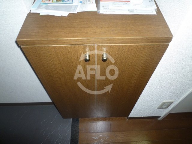 収納　プレサンス西心斎橋　シューズボックス