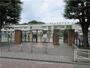 小学校　北区立神谷小学校（小学校）まで172m