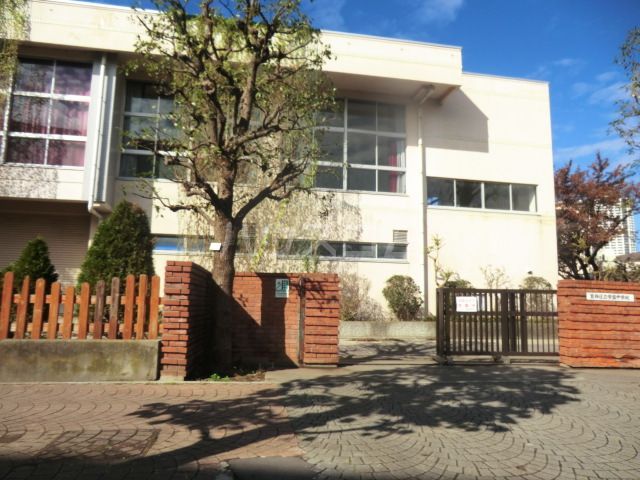 中学校　葛飾区立常盤中学校（中学校）まで1082m