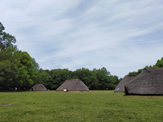 公園　水子貝塚公園（公園）まで380m