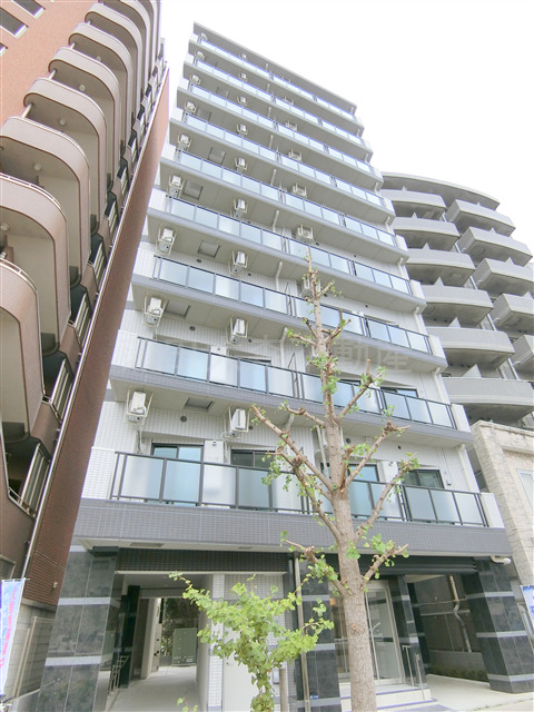 建物外観　2024年10月築　RC鉄筋コンクリート造地上10階建て総戸