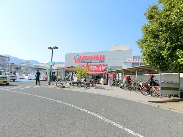ホームセンター　綿半ホームエイド若里店（ホームセンター）まで1100m