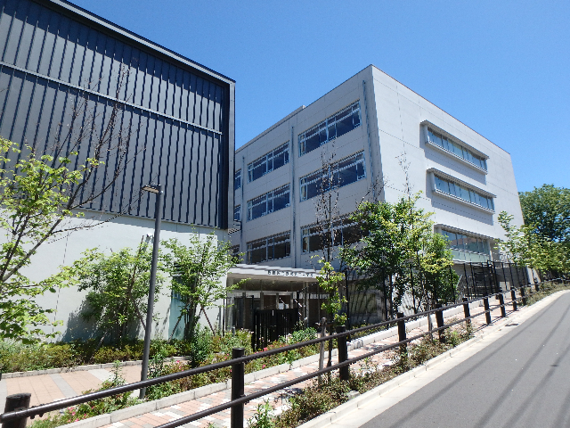 中学校　板橋区立赤塚第二中学校（中学校）まで598m