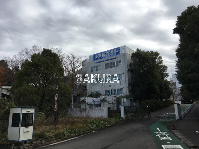 大学・短大　横浜国立大学（大学・短大）まで1566m