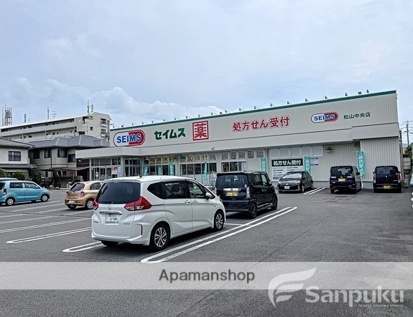 ドラックストア　セイムス　松山中央店（ドラッグストア）まで221m