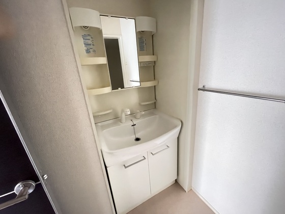 洗面設備　※別号室のお写真です。