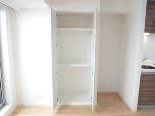 収納　同じ間取の別のお部屋の写真です。