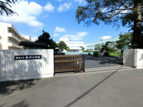 小学校　根郷小学校（小学校）まで1349m