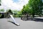 公園　西府緑地（公園）まで1249m