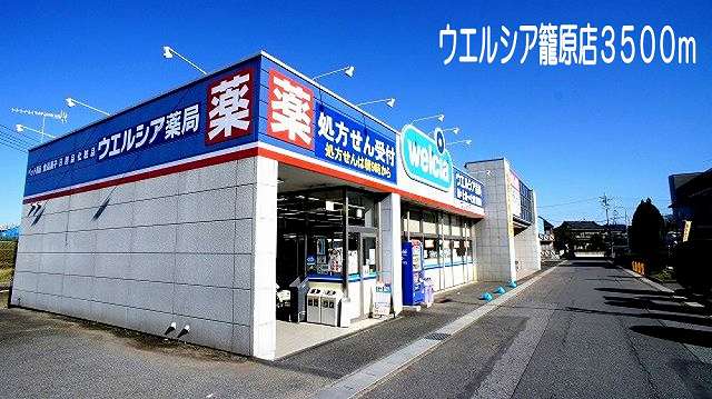 ドラックストア　ウェルシア籠原（ドラッグストア）まで3500m