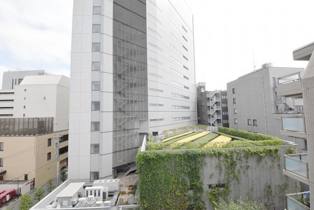 眺望　参考写真です