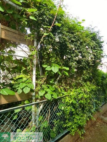 庭　緑豊かな環境です