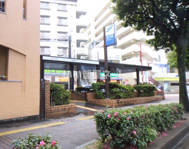 その他　藤崎(福岡県)駅（その他）まで566m