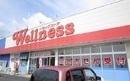 ドラックストア　ドラッグストアウェルネス春日店（ドラッグストア）まで328m