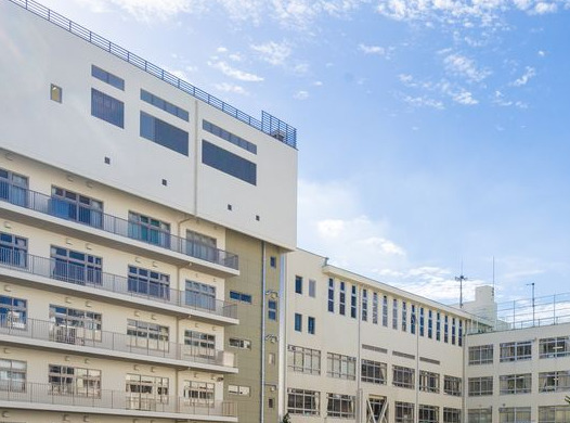 小学校　中央区立久松小学校（小学校）まで278m
