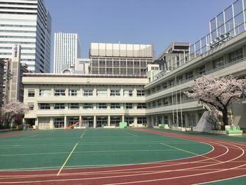 小学校　中央区立京橋築地小学校（小学校）まで331m