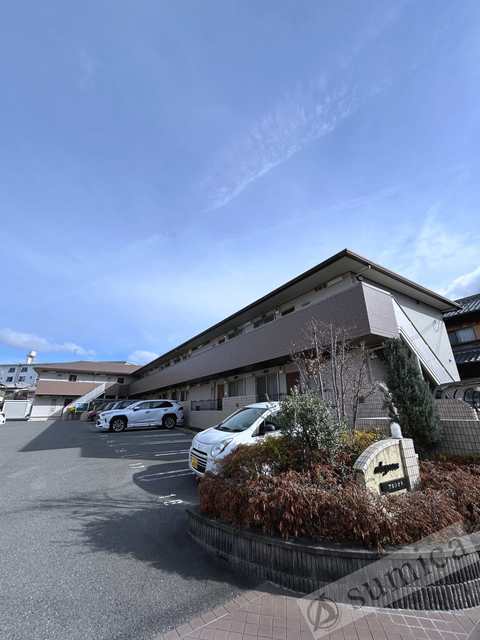 その他共有部分　広々とした敷地内駐車場を完備♪♪