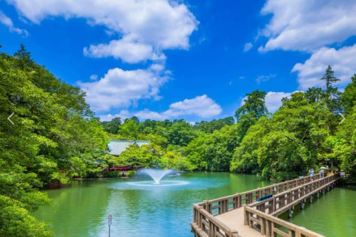 公園　井の頭公園（公園）まで959m