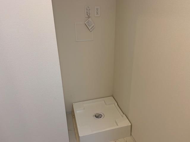 トレニアのその他写真