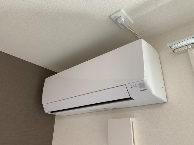トレニアのその他写真