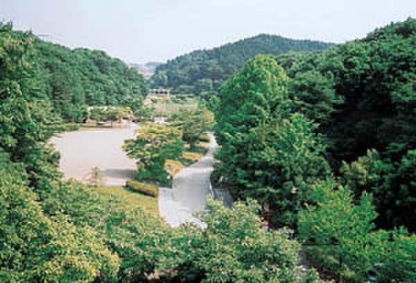 その他　台原森林公園（その他）まで170m