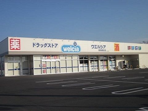 【岩瀬郡鏡石町鏡沼のアパートのドラックストア】