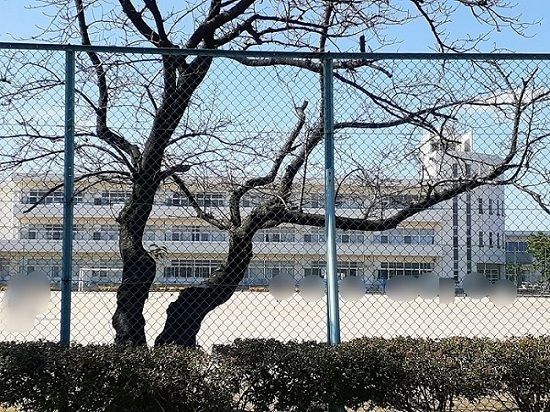 【新発田市大栄町のアパートの小学校】