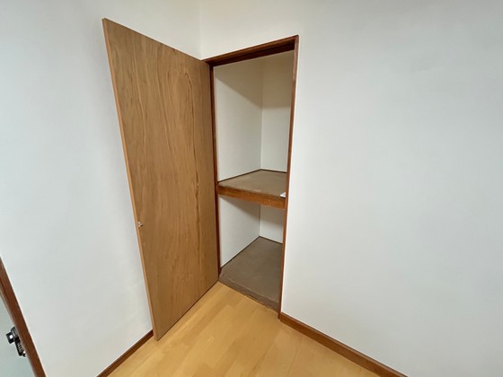 収納　※別部屋の写真です