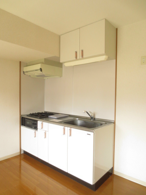 キッチン　約14帖の南向きLDK