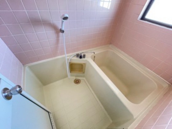 バス・シャワールーム　※別号室の写真です。