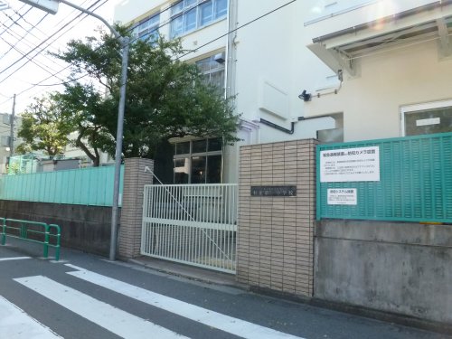 小学校　杉並区立杉並第一小学校（小学校）まで773m