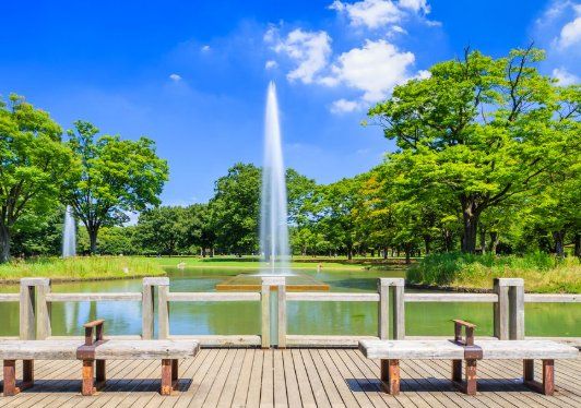 公園　東京都立代々木公園（公園）まで2160m