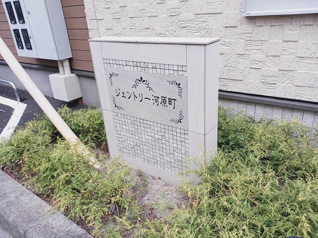 庭