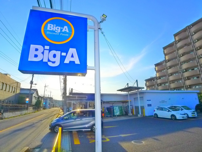 その他　ＢＩＧ－Ａ（その他）まで850m