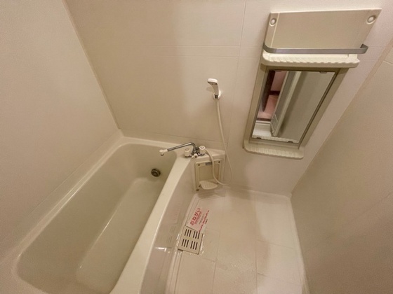 バス・シャワールーム　※別部屋の写真です