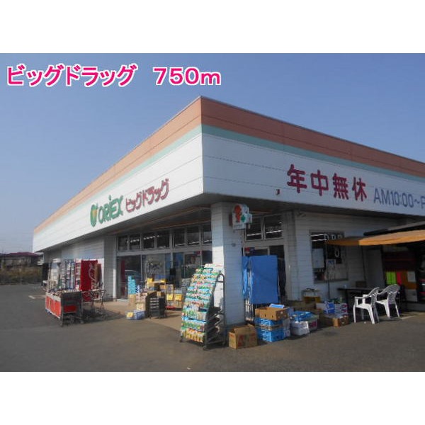 その他　ビッグドラッグ（その他）まで750m
