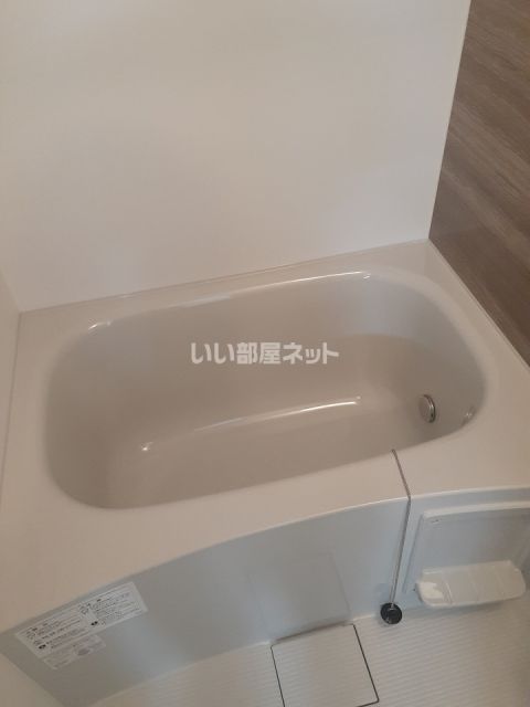 グランデフォルトーネBの風呂写真