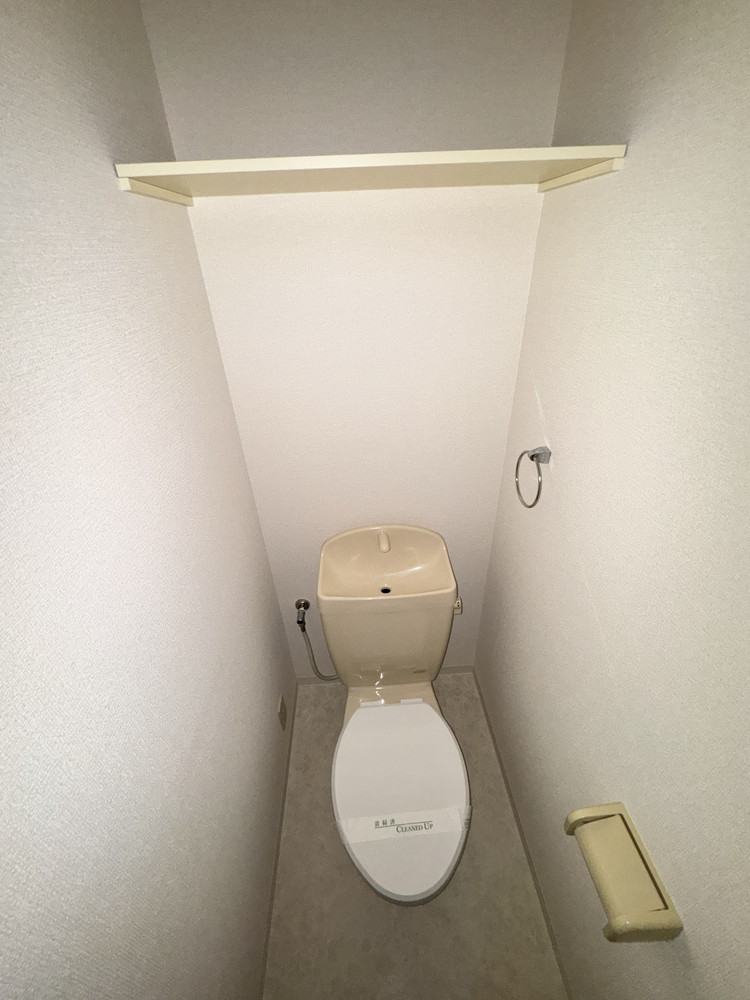 ＪＲ関西本線 柏原駅 徒歩10分 2階建 築17年のトイレ写真