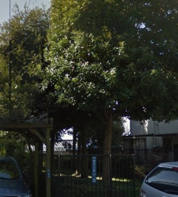 公園　細山緑地（公園）まで955m