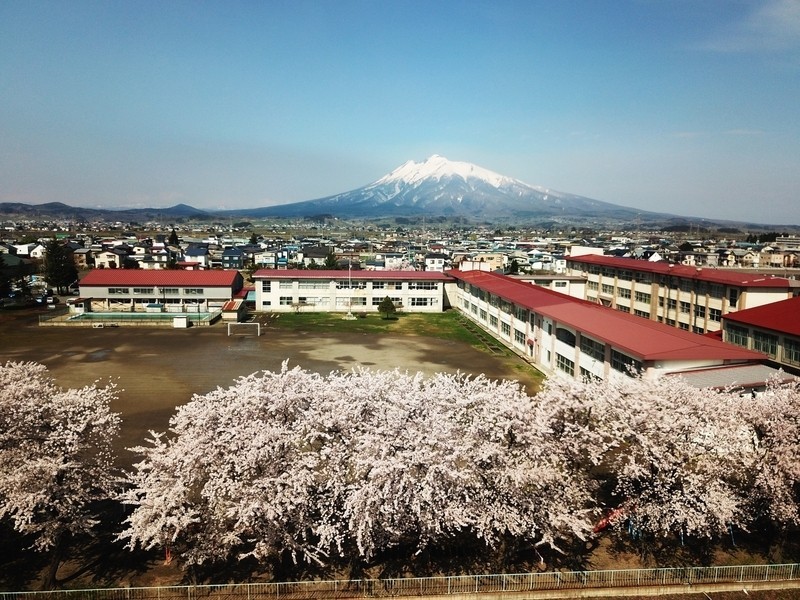 小学校　弘前市立致遠小学校（小学校）まで389m
